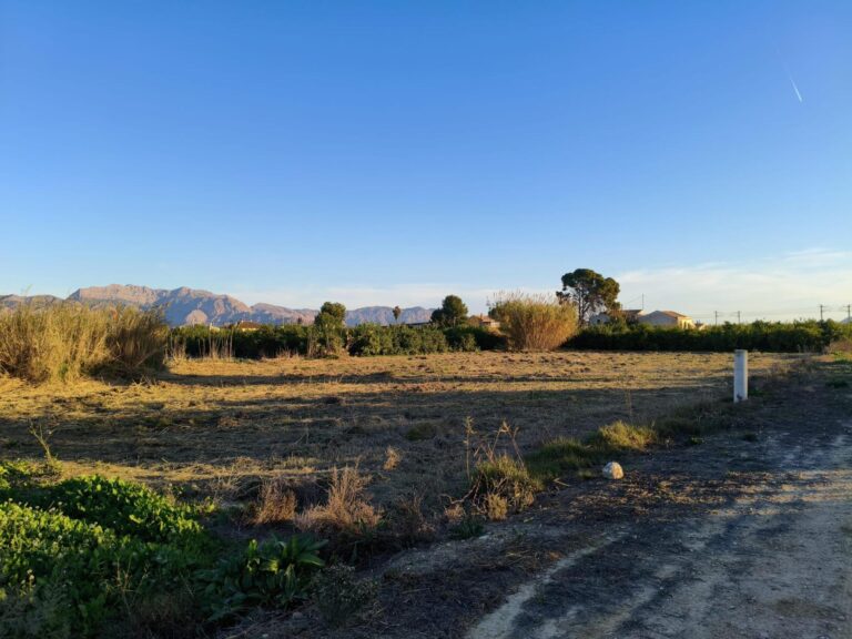 Terreno rural en venta en Alquerias, Alquerias