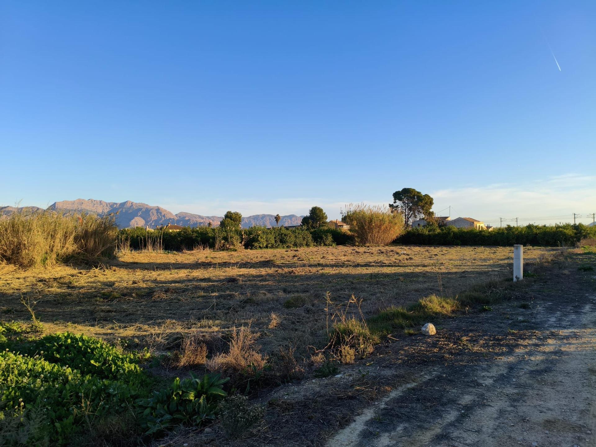 Terreno rural en venta en Alquerias, Alquerias
