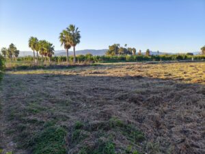 Terreno rural en venta en Alquerias, Alquerias