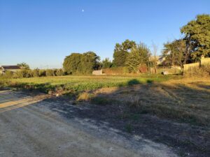 Terreno rural en venta en Alquerias, Alquerias