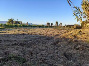 Terreno rural en venta en Alquerias, Alquerias