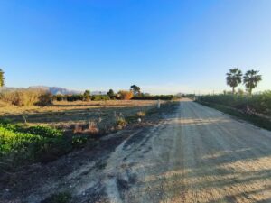 Terreno rural en venta en Alquerias, Alquerias