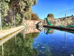 Terreno rural en venta en Arroyo hurtado, Cehegin