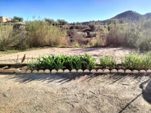 Terreno rural en venta en Arroyo hurtado, Cehegin