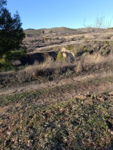 Terreno rural en venta en Bullas, Bullas