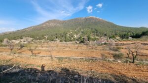 Terreno rural en venta en Bullas, Bullas