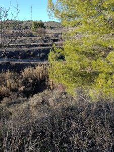 Terreno rural en venta en Bullas, Bullas