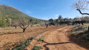 Terreno rural en venta en Bullas, Bullas
