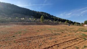 Terreno rural en venta en Bullas, Bullas