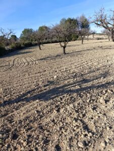 Terreno rural en venta en Campiña, Bullas