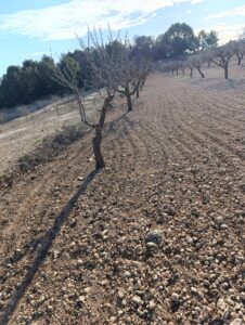 Terreno rural en venta en Campiña, Bullas
