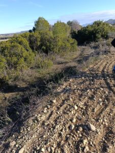 Terreno rural en venta en Campiña, Bullas