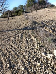Terreno rural en venta en Campiña, Bullas