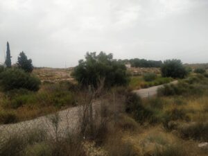 Terreno rural en venta en Campotéjar-Los Valientes, Molina de Segura
