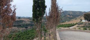 Terreno rural en venta en Cañadas de San Pedro, Murcia