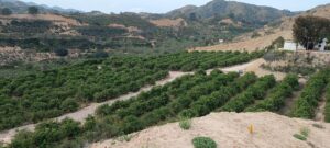 Terreno rural en venta en Cañadas de San Pedro, Murcia