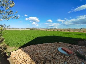 Terreno rural en venta en Caravaca de la Cruz, Caravaca de la Cruz