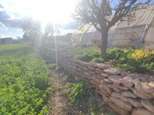 Terreno rural en venta en Caravaca de la Cruz, Caravaca de la Cruz