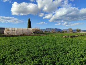 Terreno rural en venta en Caravaca de la Cruz, Caravaca de la Cruz