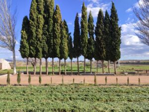 Terreno rural en venta en Caravaca de la Cruz, Caravaca de la Cruz