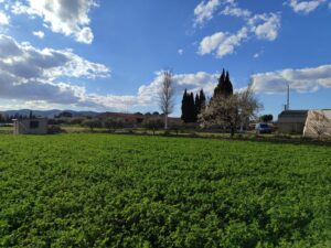 Terreno rural en venta en Caravaca de la Cruz, Caravaca de la Cruz