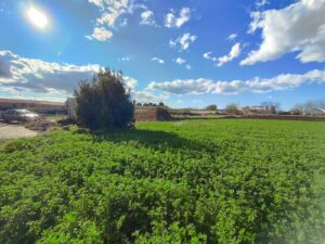 Terreno rural en venta en Caravaca de la Cruz, Caravaca de la Cruz