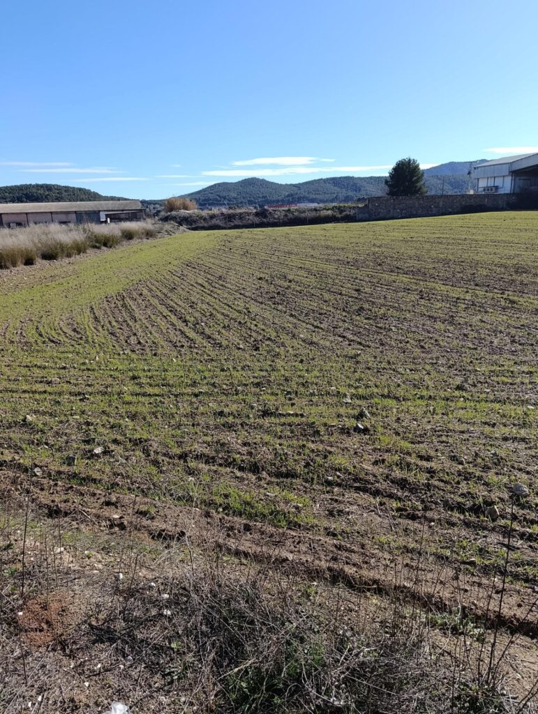 Terreno rural en venta en CEHEGIN, Cehegin