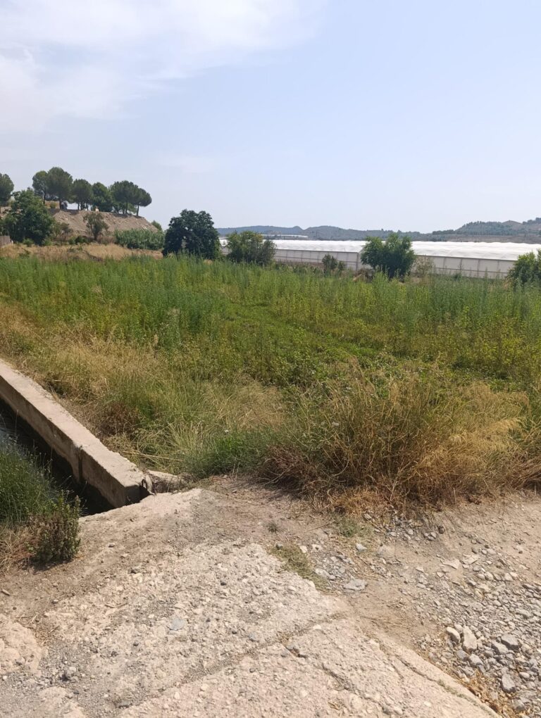 Terreno rural en venta en Cehegin, Cehegin