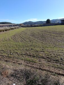 Terreno rural en venta en CEHEGIN, Cehegin