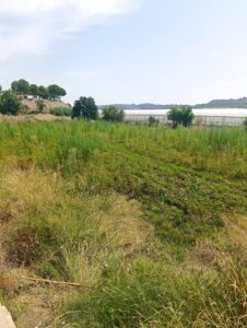 Terreno rural en venta en Cehegin, Cehegin