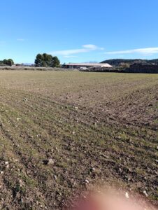 Terreno rural en venta en CEHEGIN, Cehegin