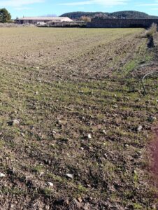 Terreno rural en venta en CEHEGIN, Cehegin