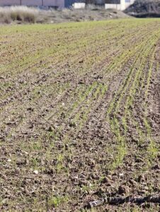 Terreno rural en venta en CEHEGIN, Cehegin