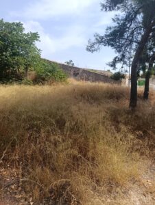Terreno rural en venta en Cehegin, Cehegin