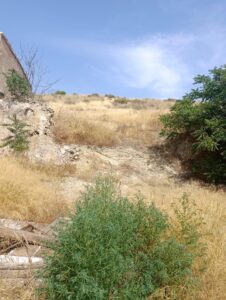 Terreno rural en venta en Cehegin, Cehegin