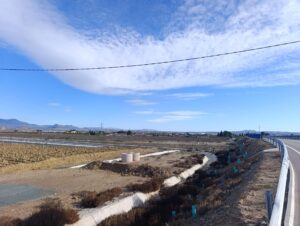 Terreno rural en venta en Ceutí, Ceuti