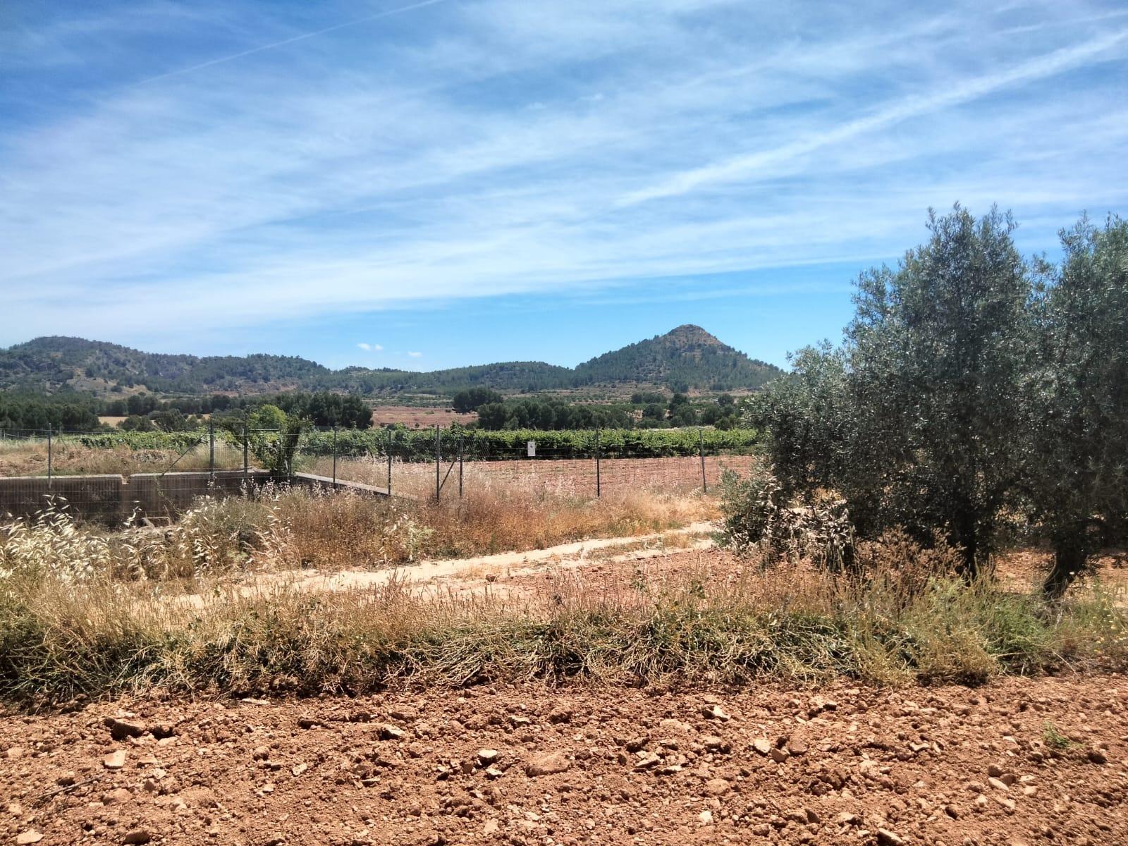 Terreno rural en venta en Chaparral, Cehegin