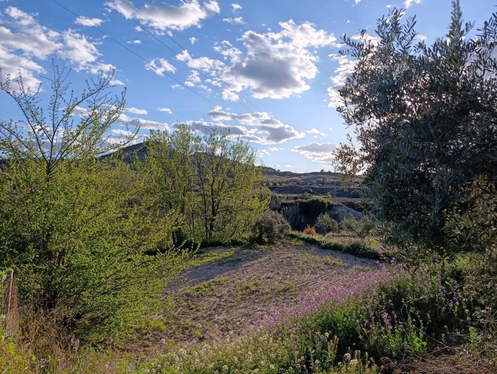 Terreno rural en venta en Chaparral, Cehegin