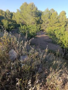Terreno rural en venta en Chaparral, Cehegin