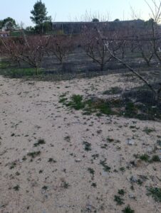 Terreno rural en venta en Chaparral, Cehegin