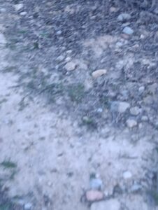 Terreno rural en venta en Chaparral, Cehegin