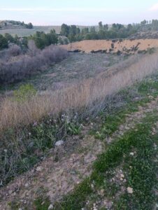Terreno rural en venta en Chaparral, Cehegin