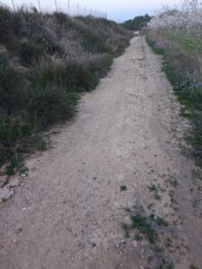 Terreno rural en venta en Chaparral, Cehegin