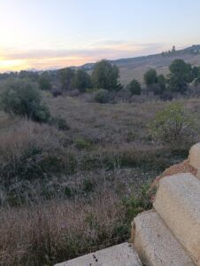 Terreno rural en venta en Chaparral, Cehegin