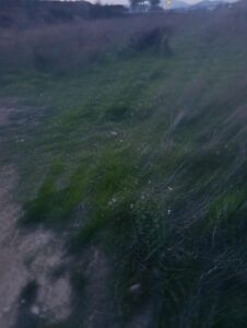 Terreno rural en venta en Chaparral, Cehegin