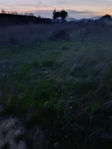 Terreno rural en venta en Chaparral, Cehegin