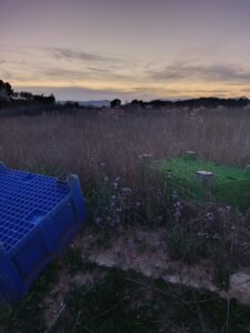 Terreno rural en venta en Chaparral, Cehegin