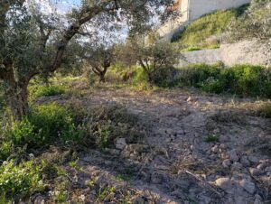 Terreno rural en venta en Chaparral, Cehegin