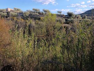 Terreno rural en venta en Chaparral, Cehegin