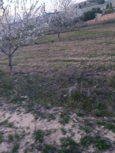 Terreno rural en venta en Chaparral, Cehegin